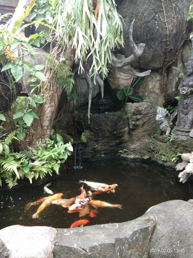 Dewi Antara Homestay Ubud Eksteriør bilde
